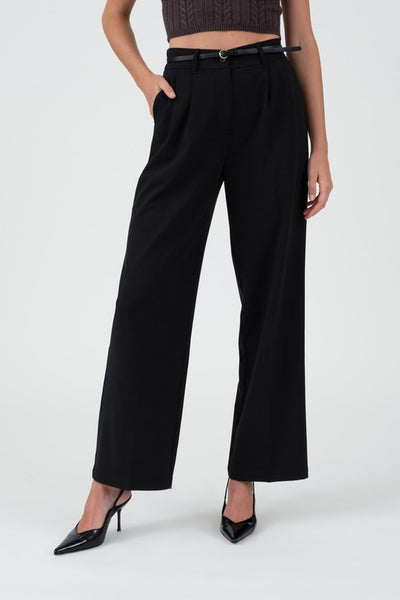 Pleated Wide Leg Dress Pants