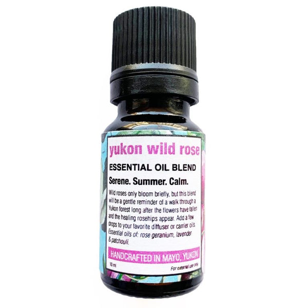 Yukon Wild Rose